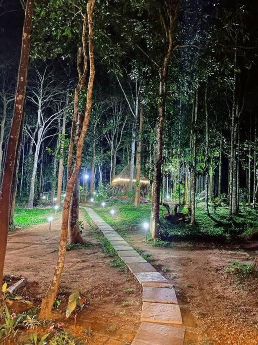 Tall Trees - Modern Forest Villa In Wayanad Sultan Bathery Zewnętrze zdjęcie