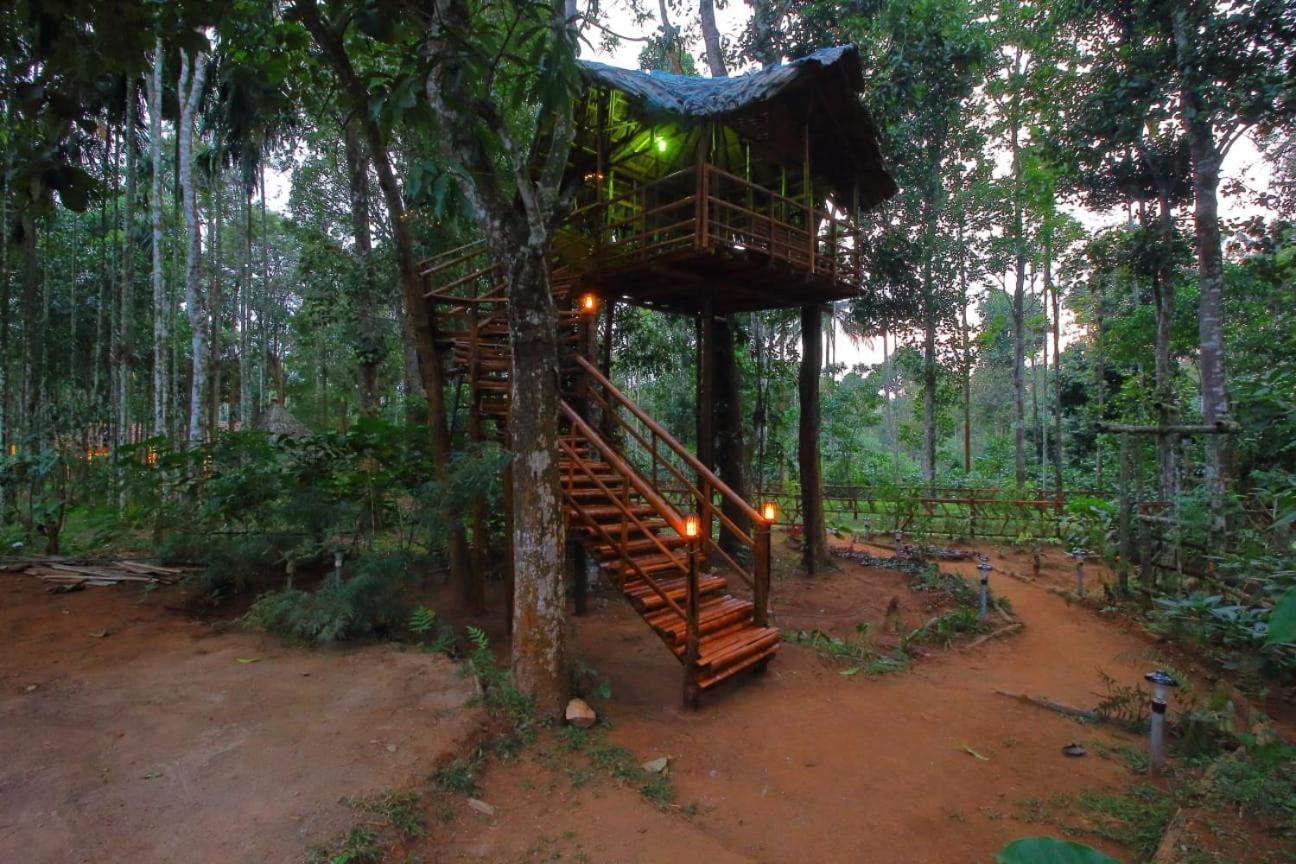 Tall Trees - Modern Forest Villa In Wayanad Sultan Bathery Zewnętrze zdjęcie