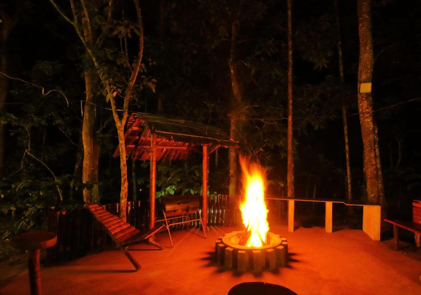 Tall Trees - Modern Forest Villa In Wayanad Sultan Bathery Zewnętrze zdjęcie