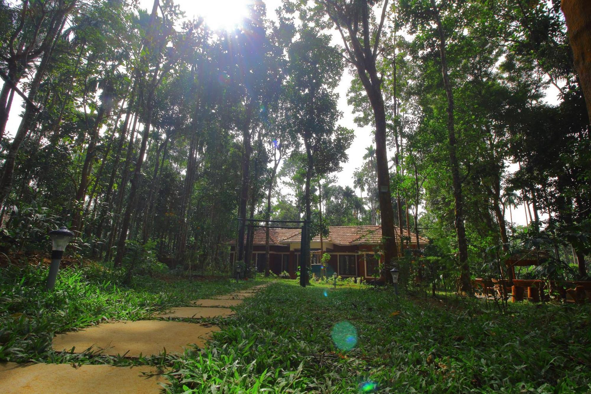 Tall Trees - Modern Forest Villa In Wayanad Sultan Bathery Zewnętrze zdjęcie